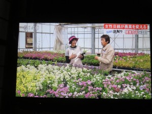 32653041_1698853820192677_7161344936531460096_n