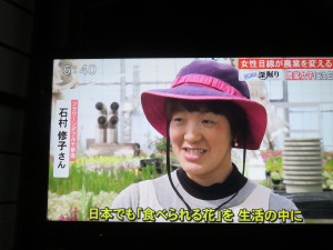 32662652_1698853983525994_4329249471553601536_n