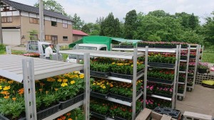 32746485_1699896043421788_339395316526612480_n