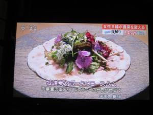 32855176_1698853843526008_2197924100406509568_n