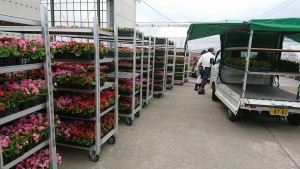 32862218_1699896250088434_7647342124119097344_n