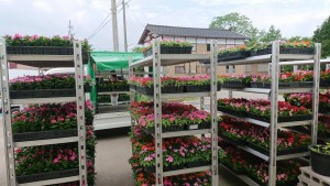 32873690_1699896413421751_3395005050001555456_n