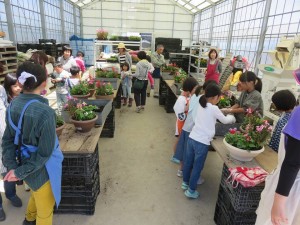 32923338_1702111899866869_1751249803724980224_n