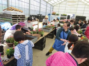 32944404_1702111699866889_7717095704425922560_n