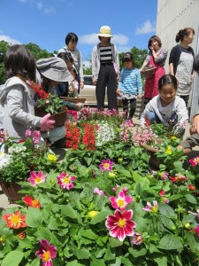 33020509_1702106563200736_5846674791758561280_n