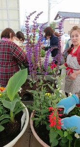 33027877_1703583399719719_8753166335912968192_n