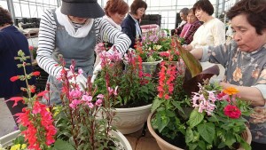 33030956_1703583236386402_3687975910406881280_n