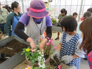 33038881_1702107123200680_455690571202166784_n