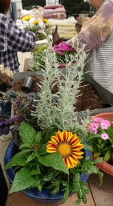 33574471_1709154352495957_5951625886754144256_n