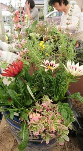 33596136_1709154009162658_9215193362561236992_n