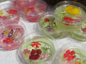 33607340_1710144849063574_4001018677699805184_n