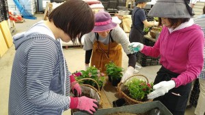 33617020_1710028869075172_8277181438646812672_n