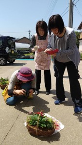 33649392_1710029175741808_5365845734023233536_n