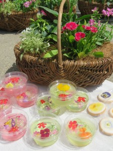 33660751_1710138095730916_4491971059251150848_n