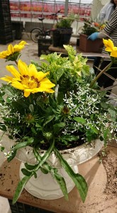 33682554_1709154982495894_5009572544643072000_n