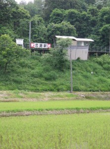 33714282_1712943162117076_5829197281340948480_n