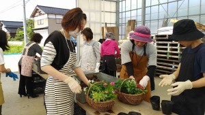 33745199_1710029022408490_1648238968795299840_n