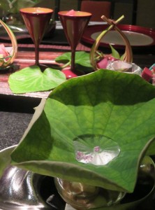 33817068_1712944652116927_1752648588673941504_n