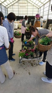 33851547_1710028782408514_9007148398033240064_n