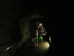 33870897_1712943222117070_5803103478117040128_o