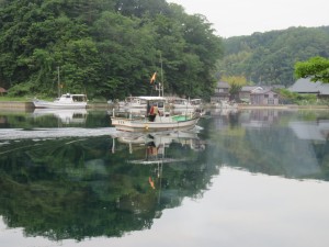 33871329_1712946452116747_6522665170559303680_o