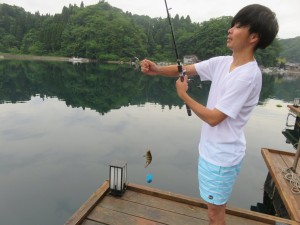 33899738_1712947195450006_160653414915637248_o