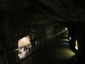 33923058_1712944388783620_2045247543566139392_o