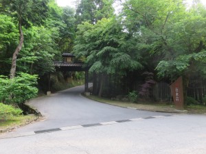 33923597_1712942245450501_6783375152919871488_o