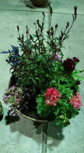 34018397_1714262188651840_4147502956851232768_n