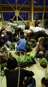 34018857_1714262371985155_4676510921898590208_n