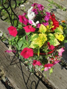 33614544_1710155032395889_5882332774186090496_n