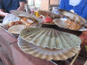 34092176_1716476098430449_6655893518482931712_n