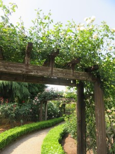 34108627_1716812711730121_8624891232037896192_n