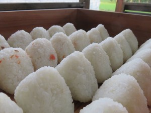 34143600_1716477445096981_6865527517831233536_o