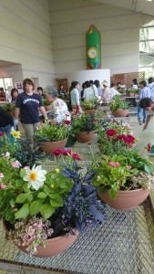 34318037_1716796628398396_8740027322284900352_n