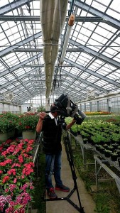 34561604_1721449157933143_2798496180634386432_n