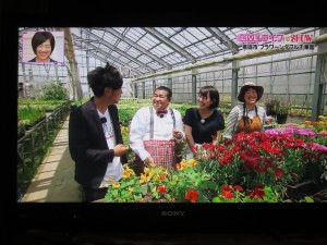 34687252_1723873901024002_7410910294802694144_o