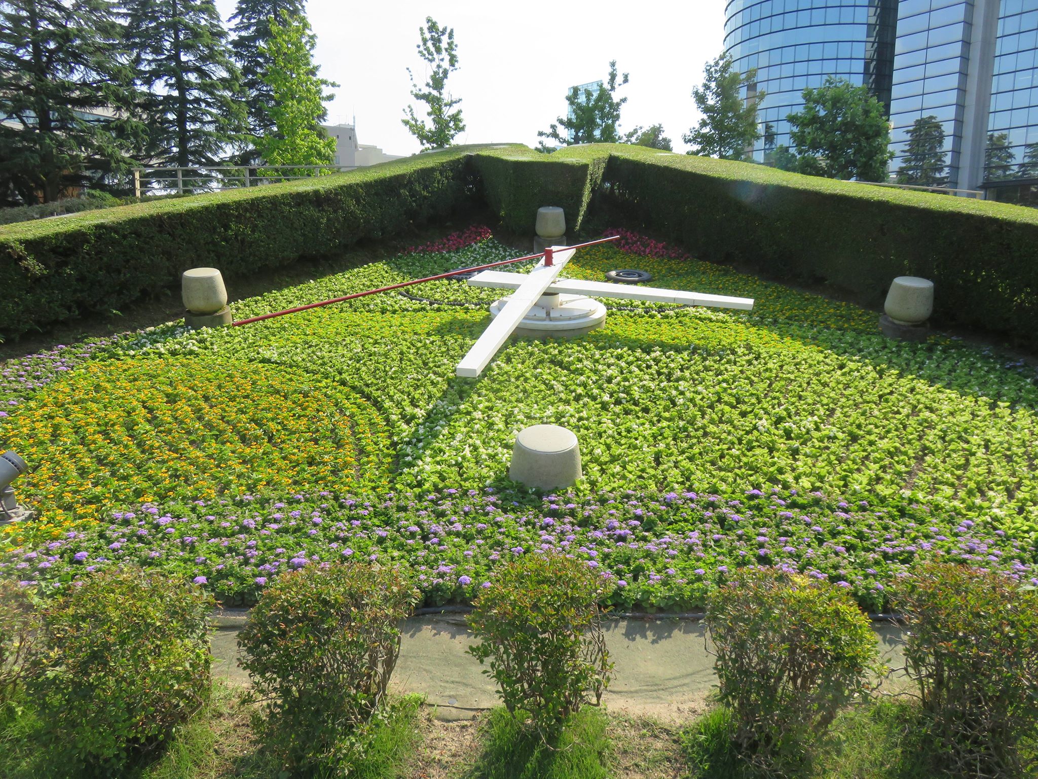 県庁前公園の花時計見て来た！！