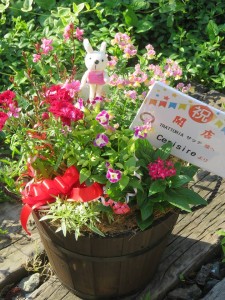 34725769_1722015087876550_3039499169413726208_n