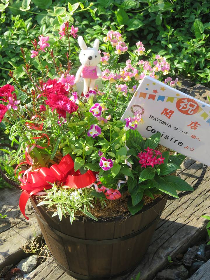 開店のお祝にエディブルフラワーの寄せ植えを♪