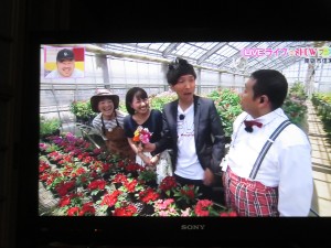 34780030_1723873444357381_4602489213546397696_o