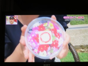 34793786_1723874154357310_2890632403183730688_o