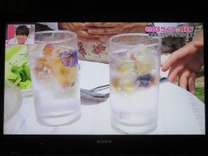 34794702_1723874484357277_192926795610193920_o