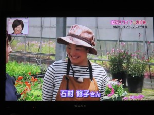 34798335_1723873851024007_3127936600487493632_o