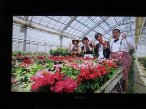 34821039_1723873734357352_8532500163309076480_o