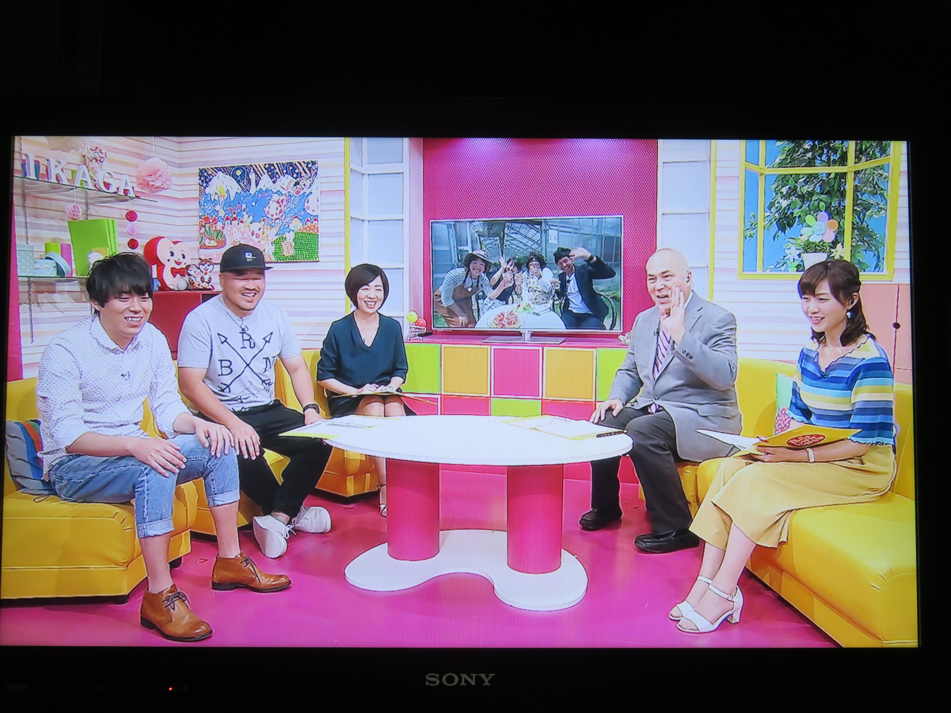 エディブルフラワーをテレビ生中継