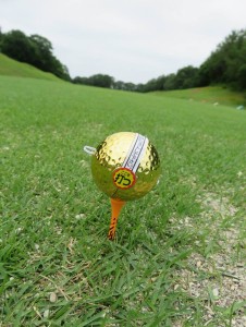 34984263_1725525694192156_175327093373009920_n