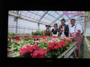 34984737_1723873471024045_8885782066881363968_o