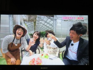 35049184_1723874597690599_5442694093496909824_o