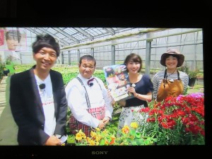 35049504_1723874017690657_7598754052452646912_o